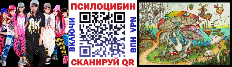 закладка  Чита  Псилоцибиновые грибы Psilocybine cubensis 